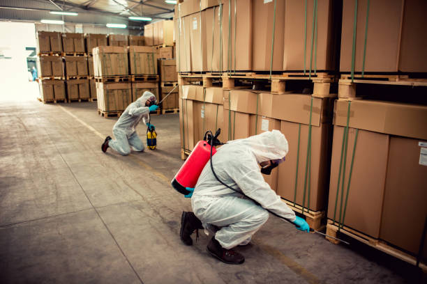 Best Local Pest Control Services  in Keeseville, NY
