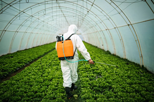 Best Pest Prevention Services  in Keeseville, NY