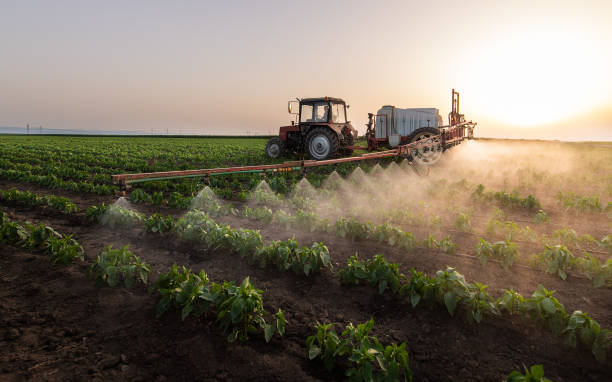 Professional Pest Control in Keeseville, NY