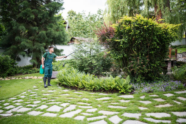 Best Mosquito Control Services  in Keeseville, NY