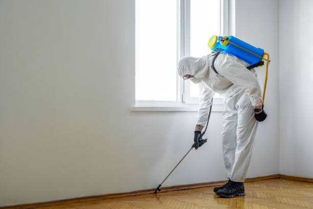 Best Commercial Pest Control Services  in Keeseville, NY