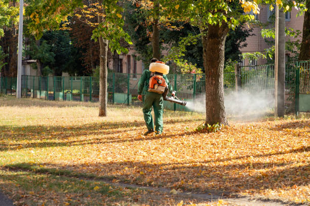 Best Commercial Pest Control Services  in Keeseville, NY